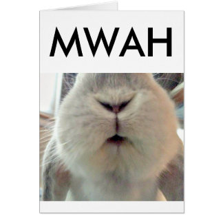 Cartão Bunny Smooches