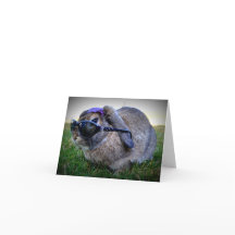 Bunny with Sunglasses / Note Card