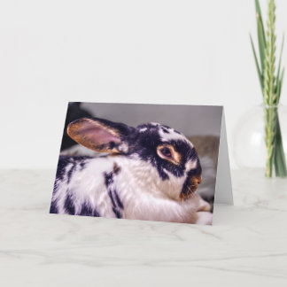 Cartão BunnyLuv Greeting Card Featuring Fiver