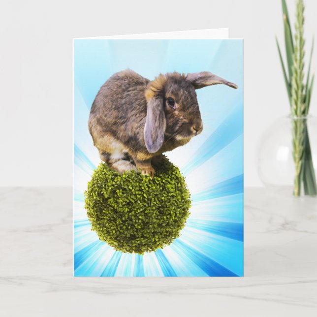 Cartão BunnyLuv Greeting Card Featuring Twink (Frente)