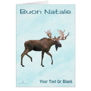 Cartão Buon Natale - Bull Moose On Snow