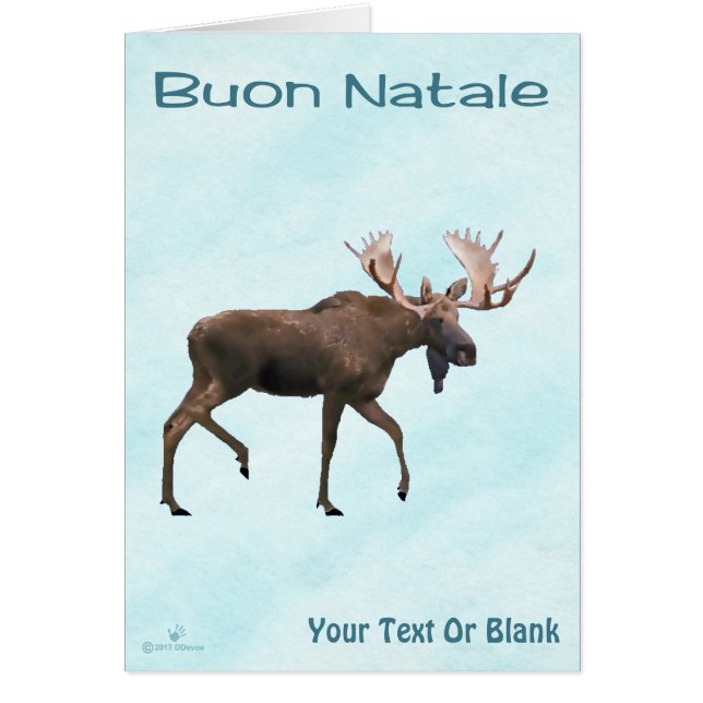 Cartão Buon Natale - Bull Moose On Snow (Frente)