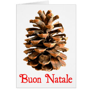 Cartão Buon Natale - Jerusalem Pine Cone