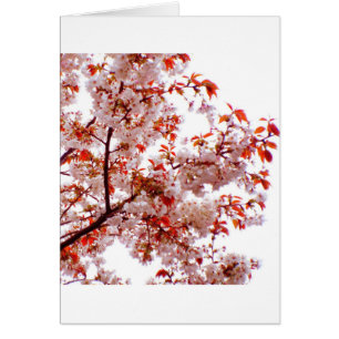 CARTÃO BUQUÊ LINDO DAS FLORES