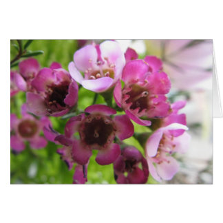 Cartão Buquê pequeno