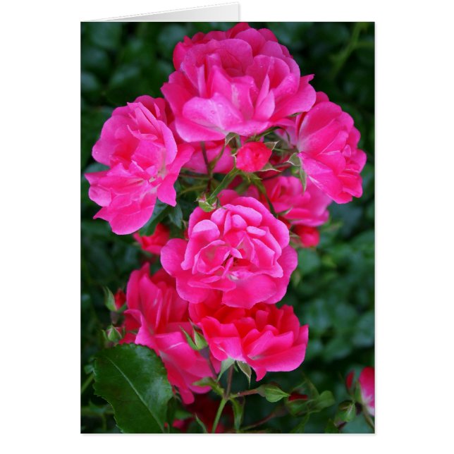 Cartão Buquê rosa quente (Frente)