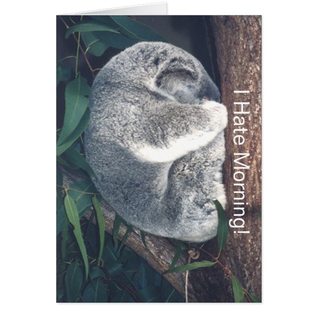 CARTÃO BURACA COALA NA ÁRVORE/"ODEIO MANHÃ!" (Frente)