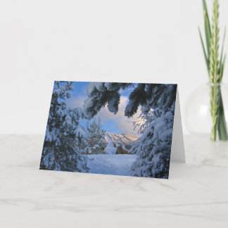 Cartão Burke Mountain