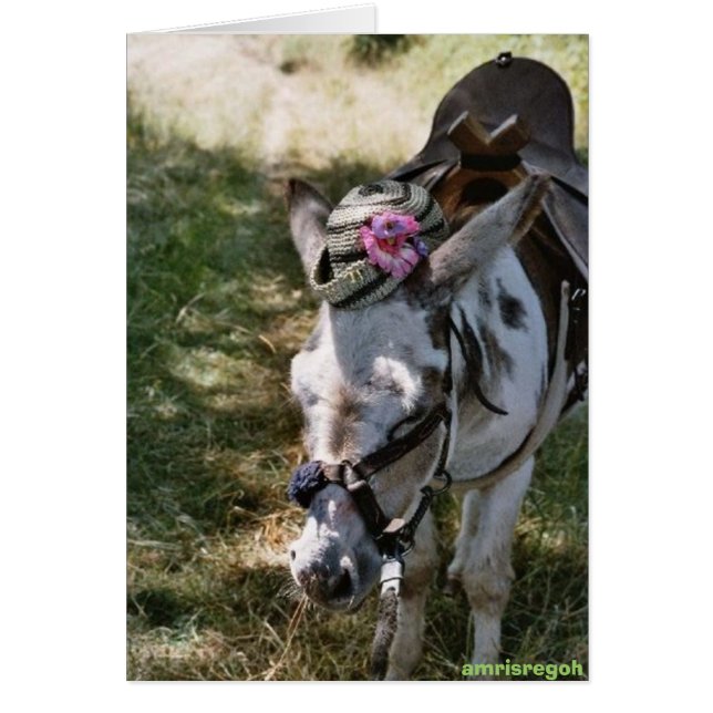 Cartão burro com chapéu (Frente)