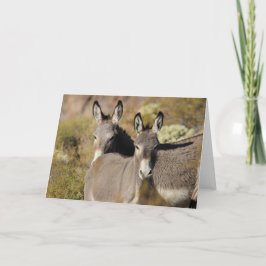 Cartão Burros Selvagens do Arizona