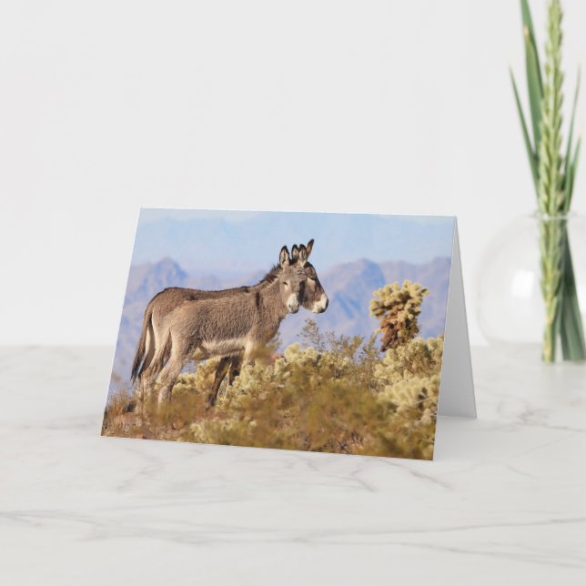 Cartão Burros Selvagens do Arizona (Frente)