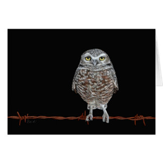 Cartão Burrowing Owl
