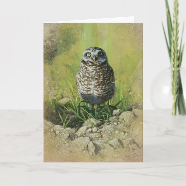 Cartão Burrowing Owl, Blank Greetin Card by Andrew Denman (Frente)