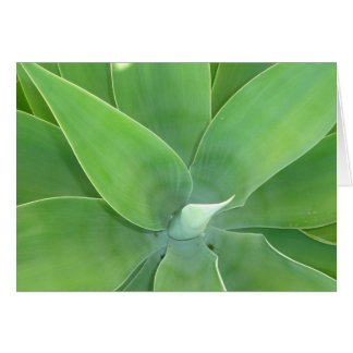 Cartão Burst Verde v2