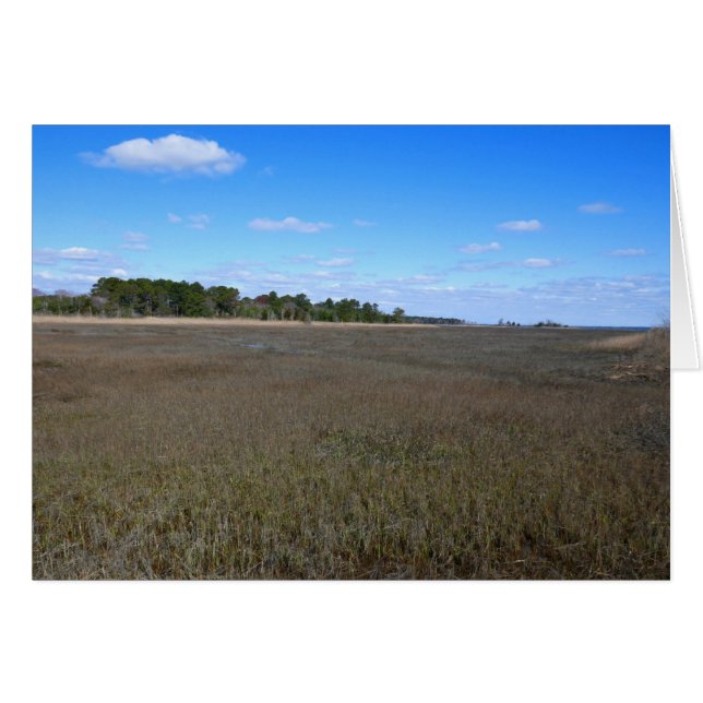 Cartão Burton Island Nature Perve Trail (Frente Horizontal)