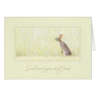 Cartão Busca e achado