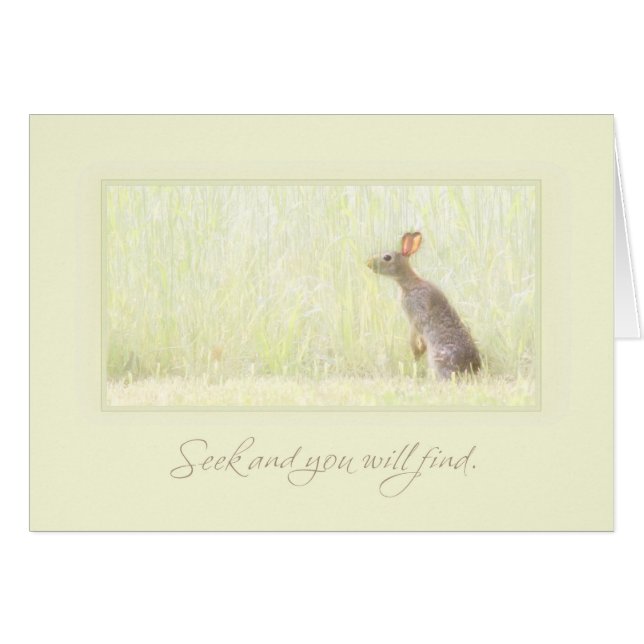 Cartão Busca e achado (Frente Horizontal)