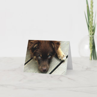 Cartão Buster Notecard