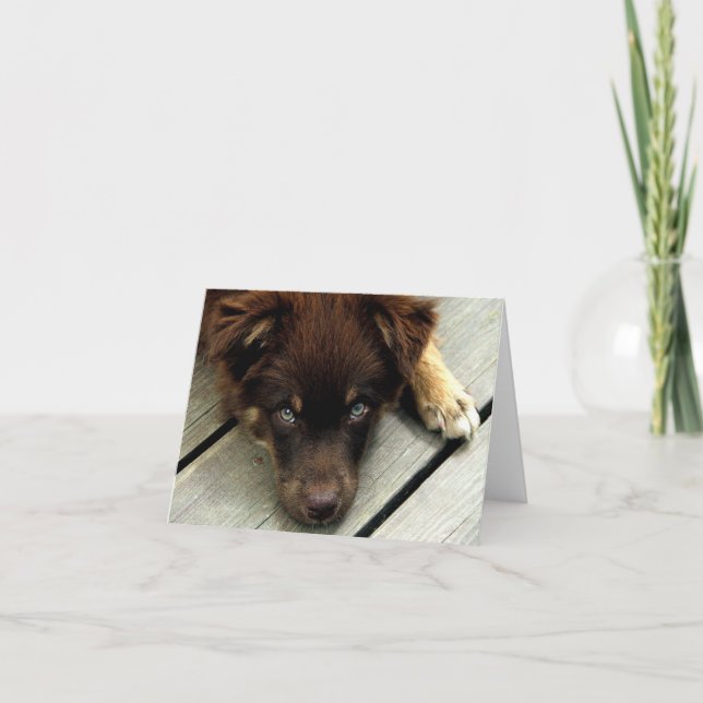 Cartão Buster Notecard (Frente)