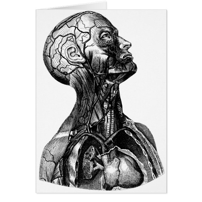 Cartão Busto da anatomia (Frente)