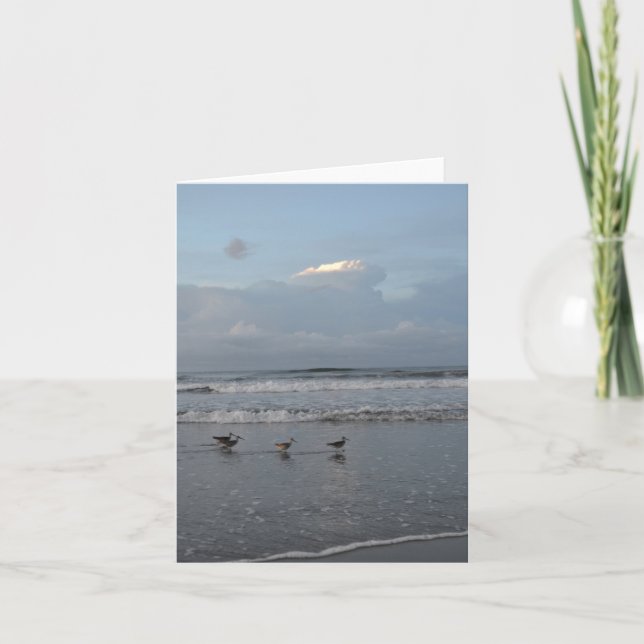 Cartão Busy Birds on the Beach Note Card (Frente)