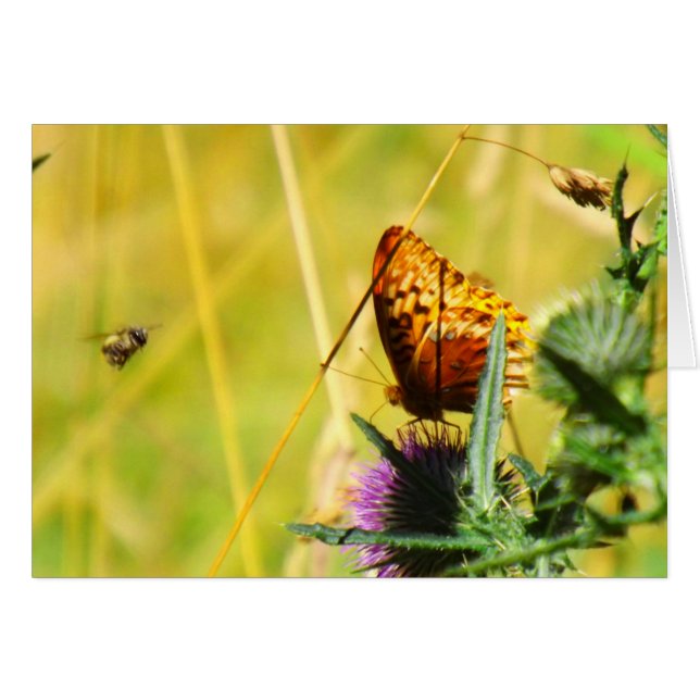 Cartão Busy Meadow (Frente horizontal)