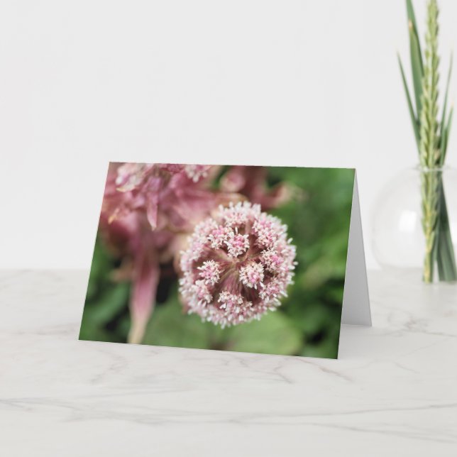 Cartão Butterbur (Frente)