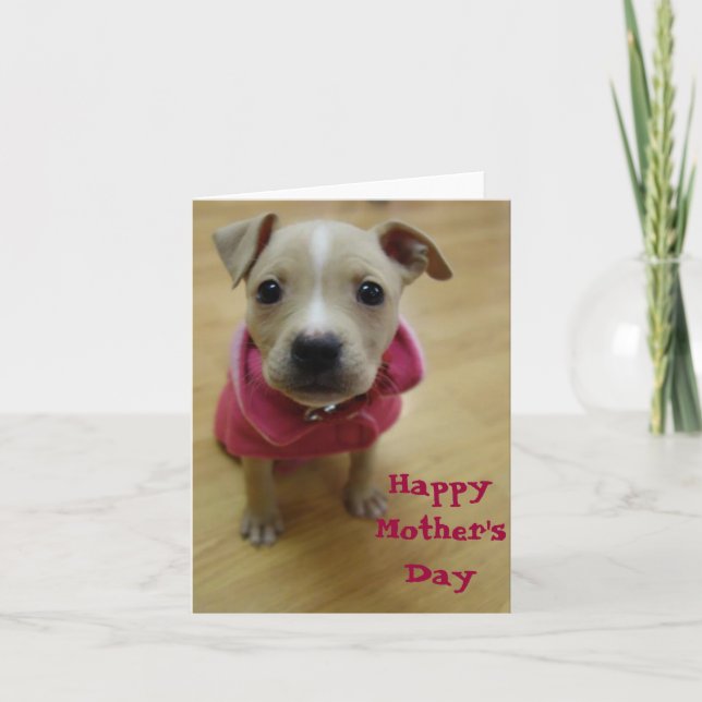 Cartão Buttercup (Frente)