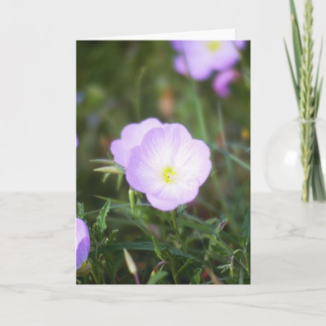 Cartão Buttercups (Frente)