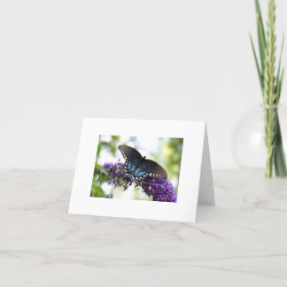 Cartão Butterfly