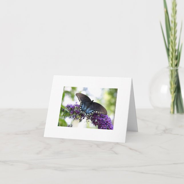 Cartão Butterfly (Frente)