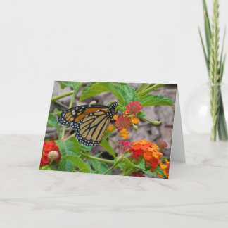 Cartão Butterfly and Lantana