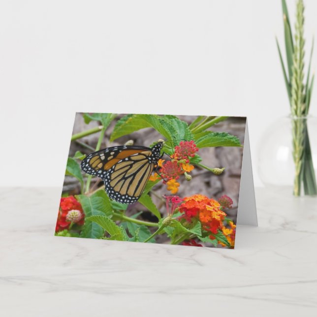 Cartão Butterfly and Lantana (Frente)