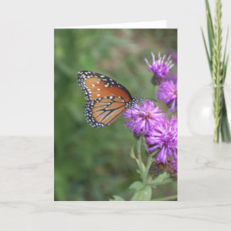 Cartão Butterfly and Wildflower Greeting Card