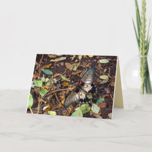 Cartão Butterfly Blank Note Card