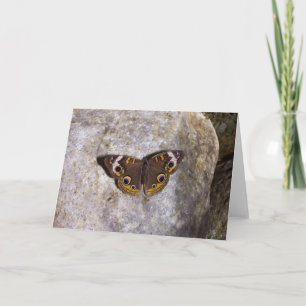 Cartão Butterfly Buckeye