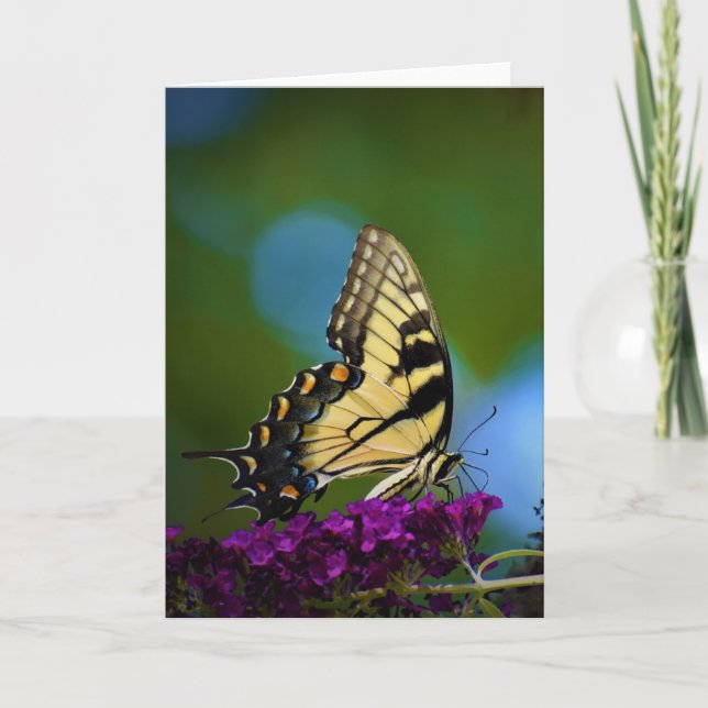 Cartão Butterfly, card (Frente)