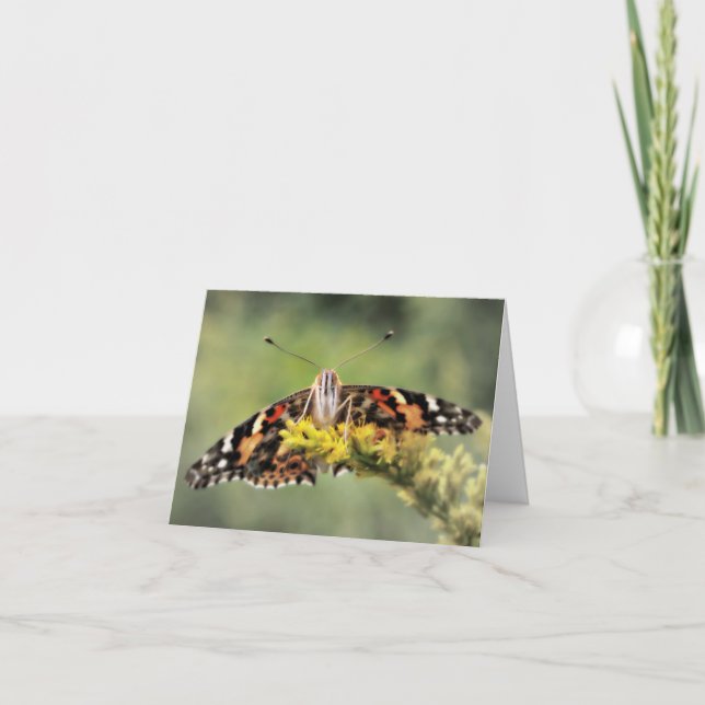 Cartão Butterfly Congratulations Card (Frente)