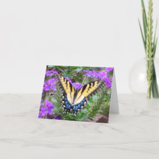 Cartão Butterfly Graces My Garden