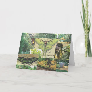 Cartão Butterfly Greeting Card
