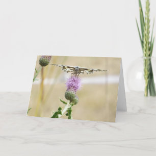 Cartão Butterfly Greetings Card