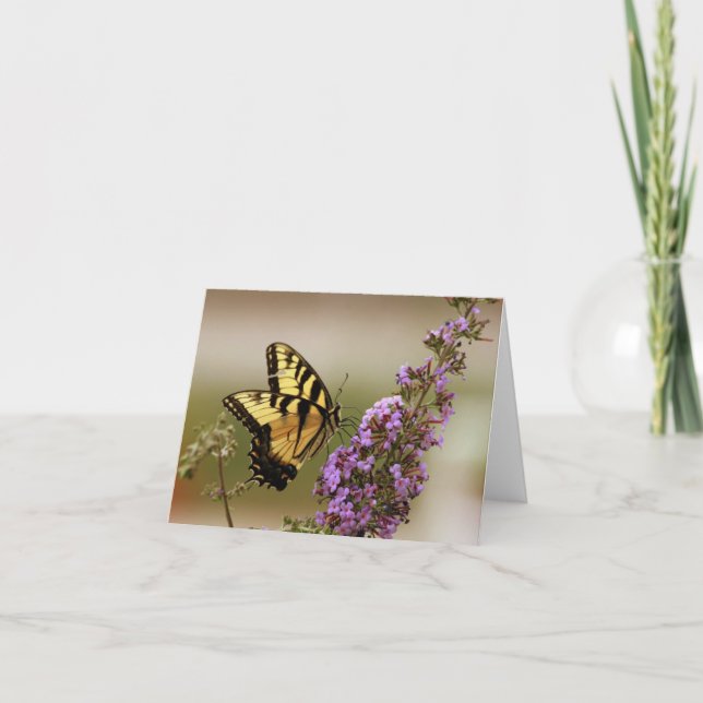 Cartão Butterfly Note cards (Frente)