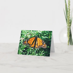 Cartão Butterfly notecards