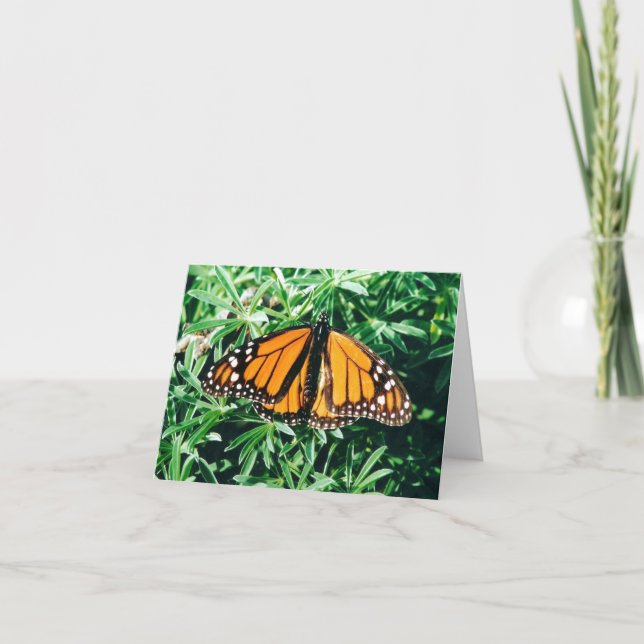 Cartão Butterfly notecards (Frente)