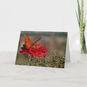 Cartão Butterfly on Flower