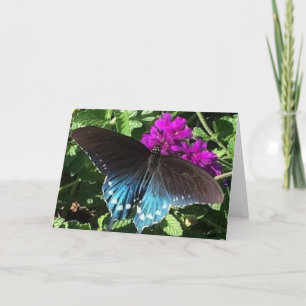 Cartão Butterfly on Purple Verbena Greeting Card
