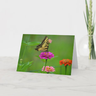 Cartão Butterfly On Zinnia Notecard