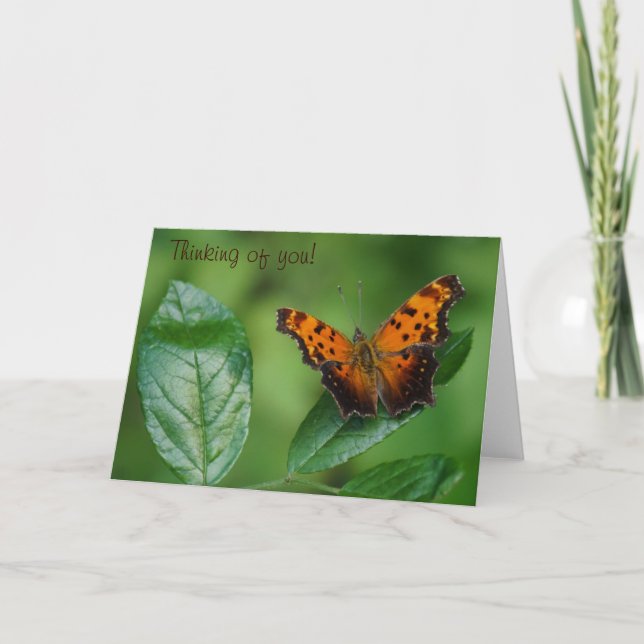 Cartão Butterfly pensando em você! (Frente)