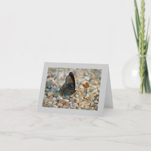 Cartão Butterfly Sympathy Card