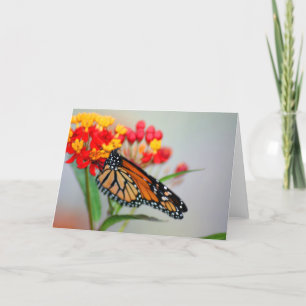 Cartão Butterly & Flower Designer Note Cards